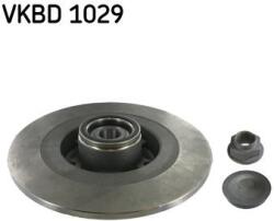 SKF Brzdový kotúč SKF VKBD 1029 (VKBD 1029)
