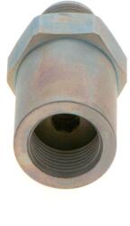 Bosch Tlakový obmedzovací ventil, Common-Rail-System BOSCH 1 110 010 021 (1 110 010 021)