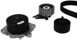 METELLI Vodné čerpadlo + sada ozubeného remeňa METELLI 30-0621-4 (30-0621-4)