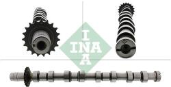 Schaeffler INA Vačkový hriadeľ Schaeffler INA 428 0205 10 (428 0205 10)