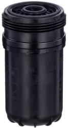 Mann-filter Palivový filter MANN-FILTER WK 10 036 (WK 10 036)