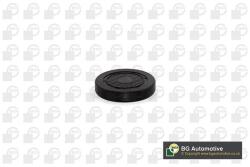 BGA Zaslepka (pl4601)