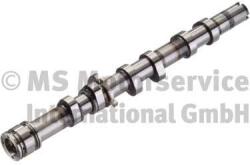 Kolbenschmidt Vačkový hriadeľ KOLBENSCHMIDT 50006100 (50006100)