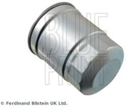 BLUE PRINT Palivový filter BLUE PRINT ADN12351 (ADN12351)