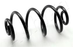 ASHIKA Sprezyna (zca5013x)