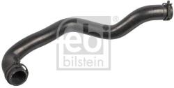 Febi Bilstein Hadica chladenia FEBI BILSTEIN 171225 (171225)