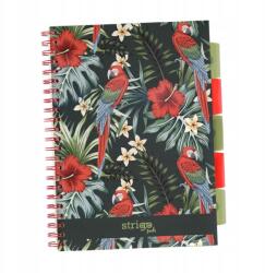Strigo Spirálos Jegyzetfüzet A4/100K Trópusi Papagáj Kockás