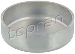 TOPRAN Protimrazová poistka TOPRAN 109 378 (109 378)