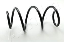 ASHIKA Pružina podvozku ASHIKA ZCA4119A (ZCA4119A)