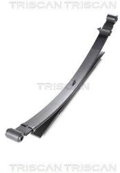 TRISCAN Sada pružin TRISCAN 8765 14011 (8765 14011)