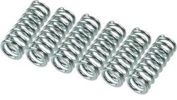 TRW Sada spojkových pružin TRW MEF145-6 (MEF145-6)