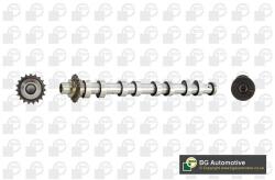 BGA Vačkový hriadeľ BGA CS5538 (CS5538)