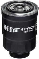 Hengst Filter Palivový filter HENGST FILTER H17WK09 (H17WK09)