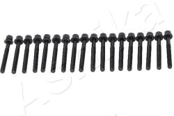 ASHIKA Sada skrutiek hlavy valcov ASHIKA 115-01-102 (115-01-102)