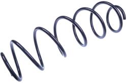 Denckermann Pružina podvozku DENCKERMANN D700568 (D700568)