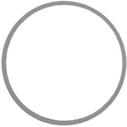 WALKER Tesnenie výfukovej trubky WALKER 80314 (80314)