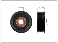 CAFFARO Vratná/vodiaca kladka rebrovaného klinového remeňa CAFFARO 462-00 (462-00)
