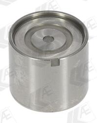 AE Popychacz Zaworow (fol178)