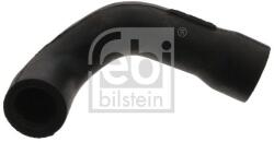 Febi Bilstein Hadica odvetrania kľukovej skrine FEBI BILSTEIN 33858 (33858)