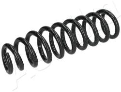 ASHIKA Pružina podvozku ASHIKA ZCA1117A (ZCA1117A)