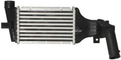 NRF Chladič plniaceho vzduchu NRF 30427 (30427)