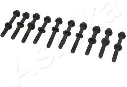 ASHIKA Sada skrutiek hlavy valcov ASHIKA 115-08-801 (115-08-801)