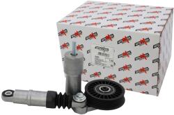 AUTOMEGA Napínacia kladka rebrovaného klinového remeňa AUTOMEGA 160034310 (160034310)