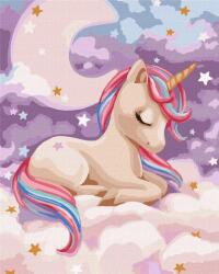 Ideyka Festmény Számok Szerint Varázslatos Álom 40X50CM (KHO2412)