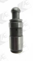 AE Popychacz Zaworow (fol79)