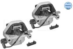 MEYLE Uloženie, motor MEYLE 100 199 3106/S (100 199 3106/S)