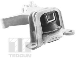 TEDGUM Uloženie, motor TEDGUM TED61737 (TED61737)