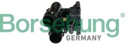 Borsehung Termostat chladenia Borsehung B18709 (B18709)