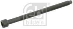 Febi Bilstein Skrutka hlavy valcov FEBI BILSTEIN 26420 (26420)