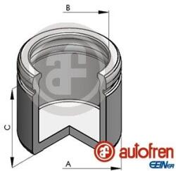 Autofren Seinsa Piest brzdového strmeňa AUTOFREN SEINSA D025549 (D025549)