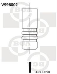 BGA Zawor Ssacy (v996002)