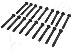 ASHIKA Sada skrutiek hlavy valcov ASHIKA 115-02-203 (115-02-203)