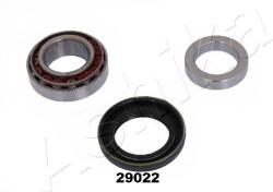 ASHIKA Súprava ložísk kolesa ASHIKA 44-29022 (44-29022)