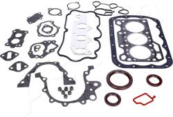 ASHIKA Kompletná sada tesnení motora ASHIKA 49-0W-W00 (49-0W-W00)
