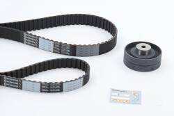 Continental Ctam Sada ozubeného remeňa CONTINENTAL CTAM CT704K2PRO (CT704K2PRO)