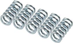 TRW Sada spojkových pružin TRW MEF111-5 (MEF111-5)