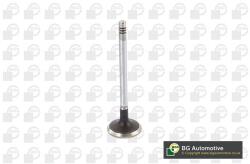 BGA Sací ventil BGA V424831 (V424831)