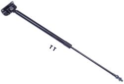 Denckermann Pneumatická pružina kufor/ložný priestor DENCKERMANN G110030 (G110030)