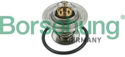Borsehung Termostat chladenia Borsehung B13141 (B13141)