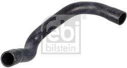 Febi Bilstein Hadica chladenia FEBI BILSTEIN 172257 (172257)