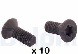 DELPHI Sruba Montaz. Tarczy Ham. /10 Szt/ (bgk010)