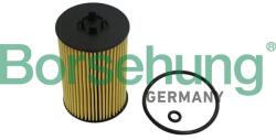 Borsehung Olejový filter Borsehung B10532 (B10532)