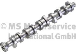 Kolbenschmidt Vačkový hriadeľ KOLBENSCHMIDT 50006110 (50006110)