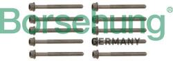 Borsehung Sada skrutiek hlavy valcov Borsehung B10625 (B10625)