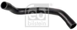 Febi Bilstein Hadica chladenia FEBI BILSTEIN 174412 (174412)
