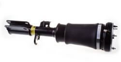 Denckermann Vzduchová pružina DENCKERMANN DSA008G (DSA008G)